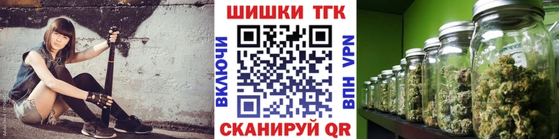 APVP Володарск