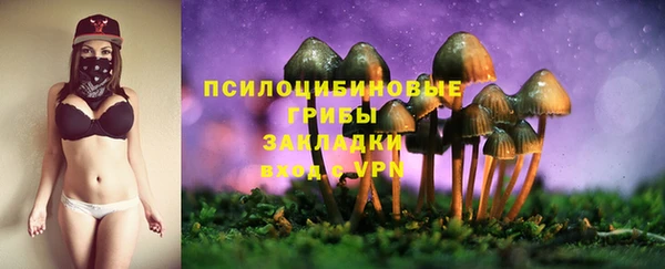 a pvp Богородск