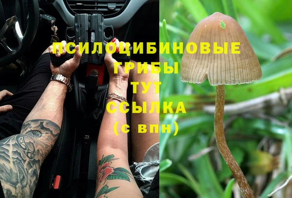 соль ск Бугульма