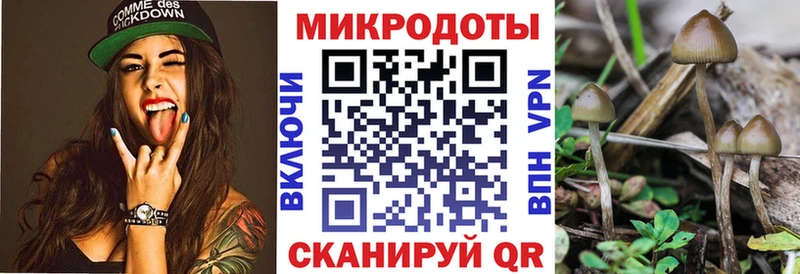 Псилоцибиновые грибы Cubensis  Володарск 